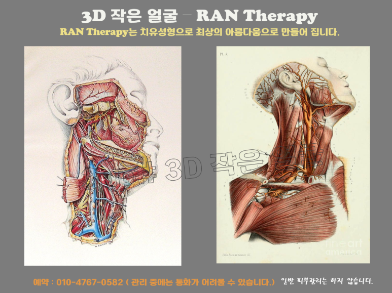 캡처.png