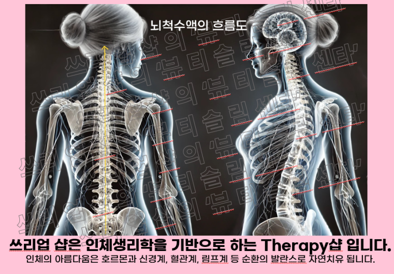 뇌척수액.png