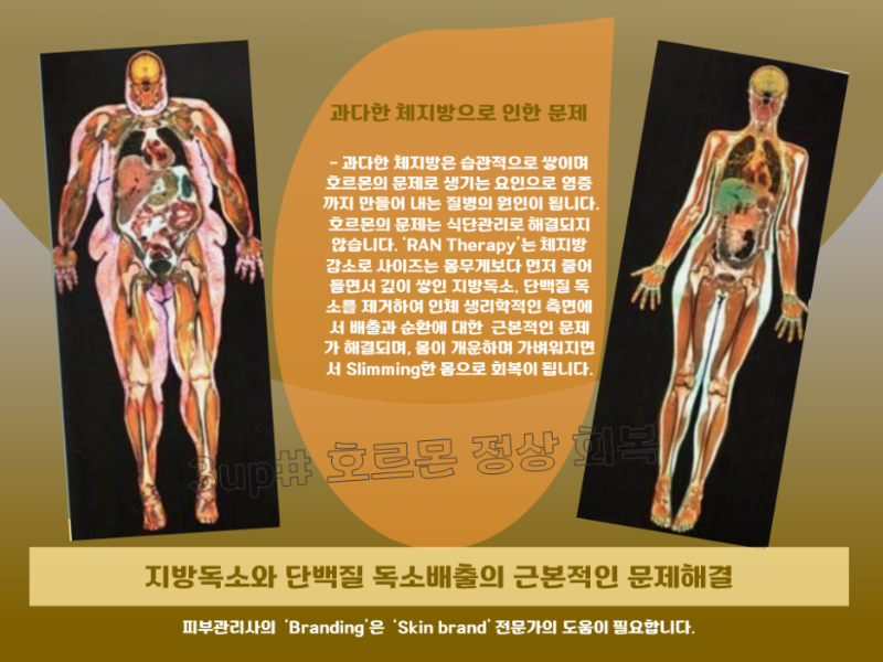 슬라이드3.png