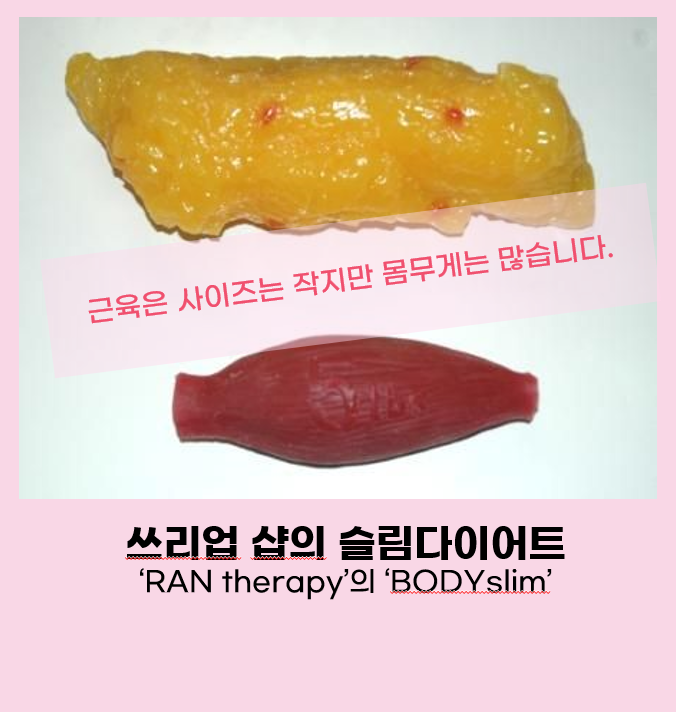 체지방_비교.png