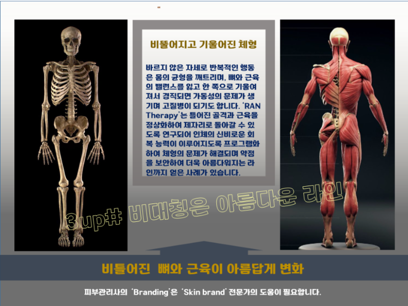 슬라이드5.png