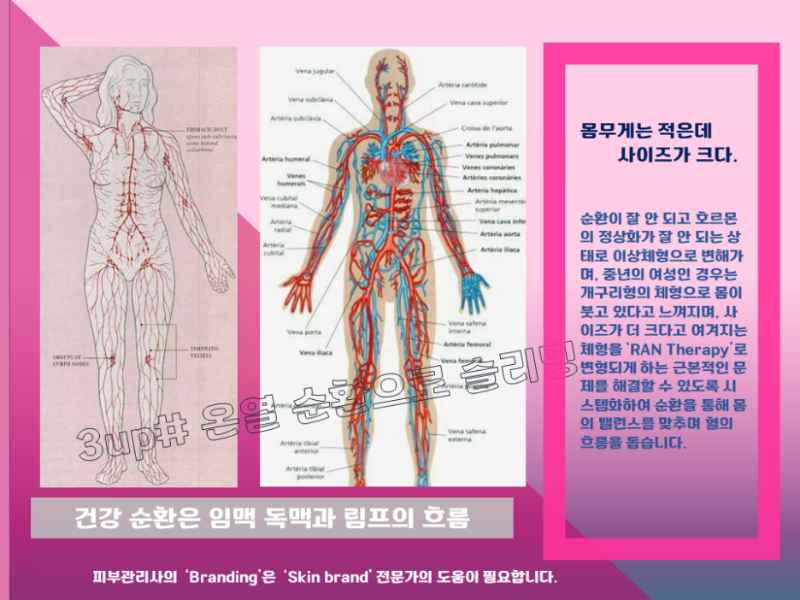 슬라이드4.png
